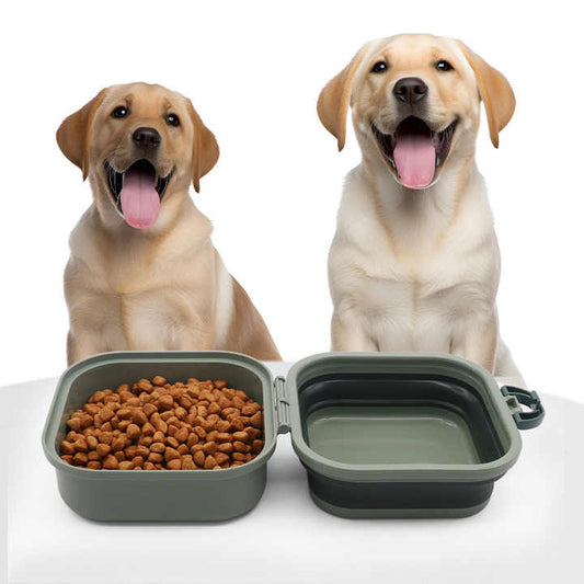 Portable Pet Travel Food Storage Container 2 in 1 Double Silicone Collapsible Folding Pet Food Water Bowl